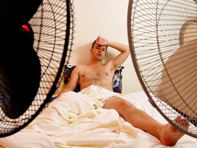 fans near the bed