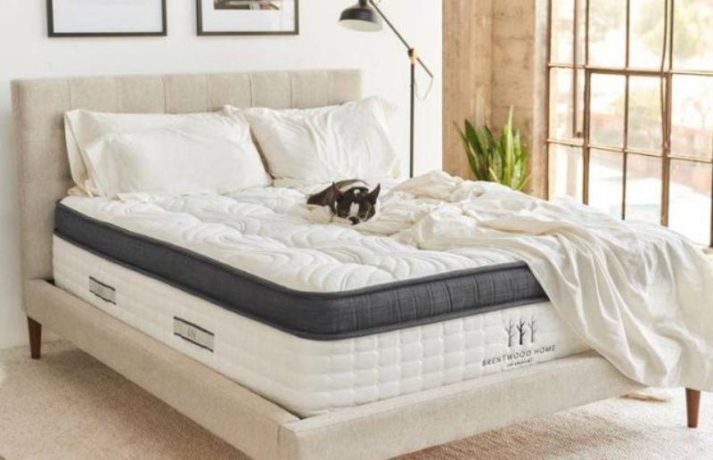 Oceano vs Crystal Cove Brentwood Home Mattress Comparison Review