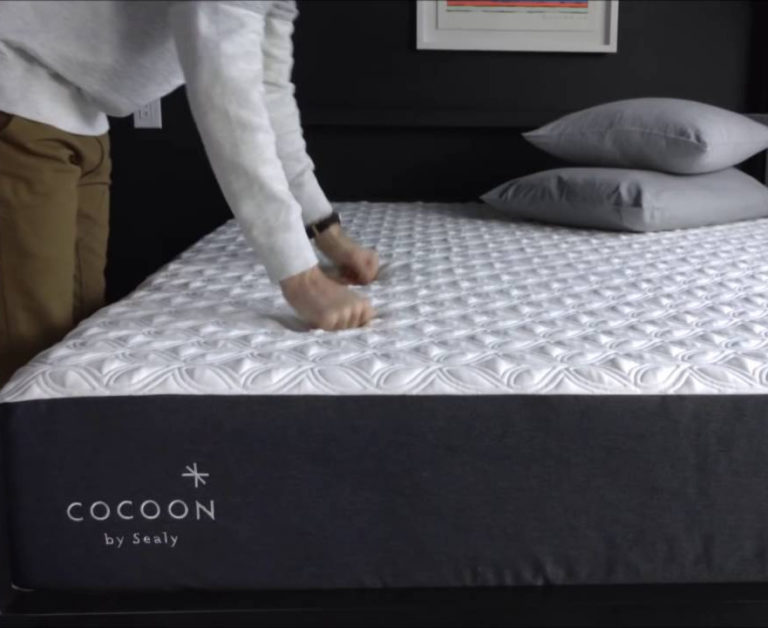 sealy cocoon chill hybrid