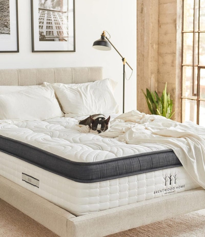 Best Luxury Mattresses 2024 Uk Hana Karisa