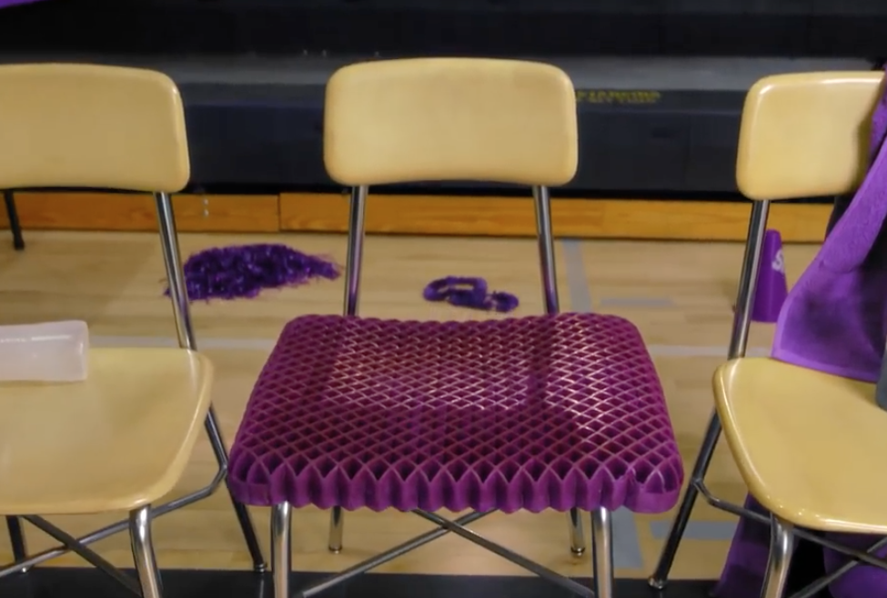 Purple Royal Seat Cushion Review 2022