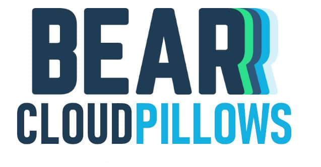 bear cloud pillow