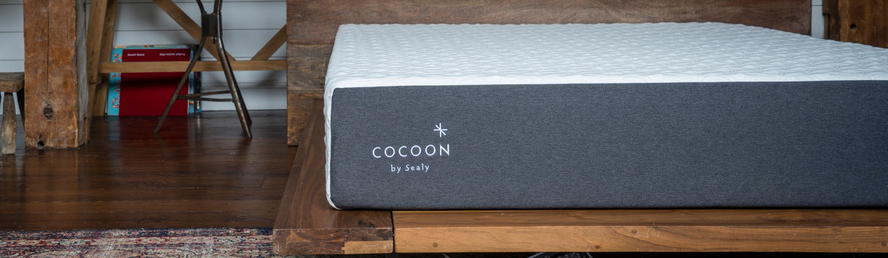 cocoon by sealy mattress