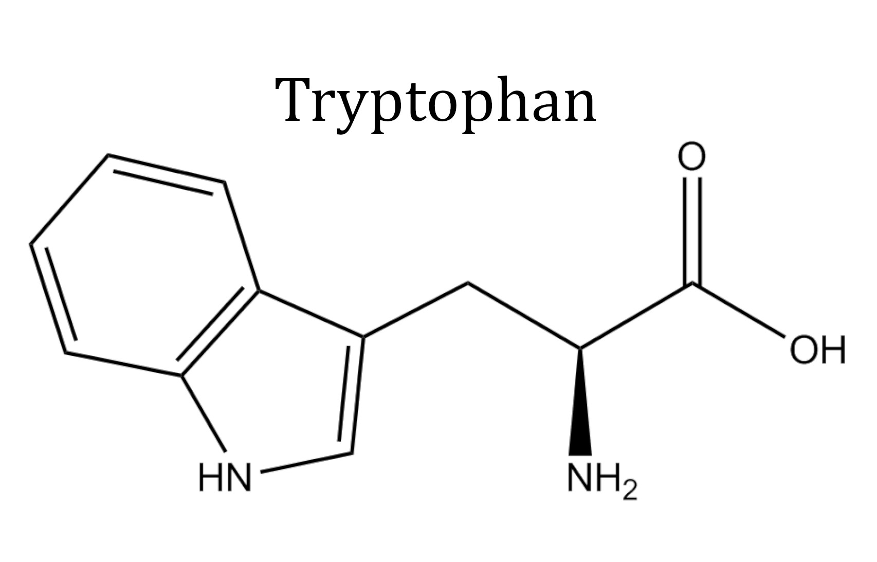 Триптофан порошок. Триптофан. Иконка триптофан. Триптофан строение. Триптофан формула.