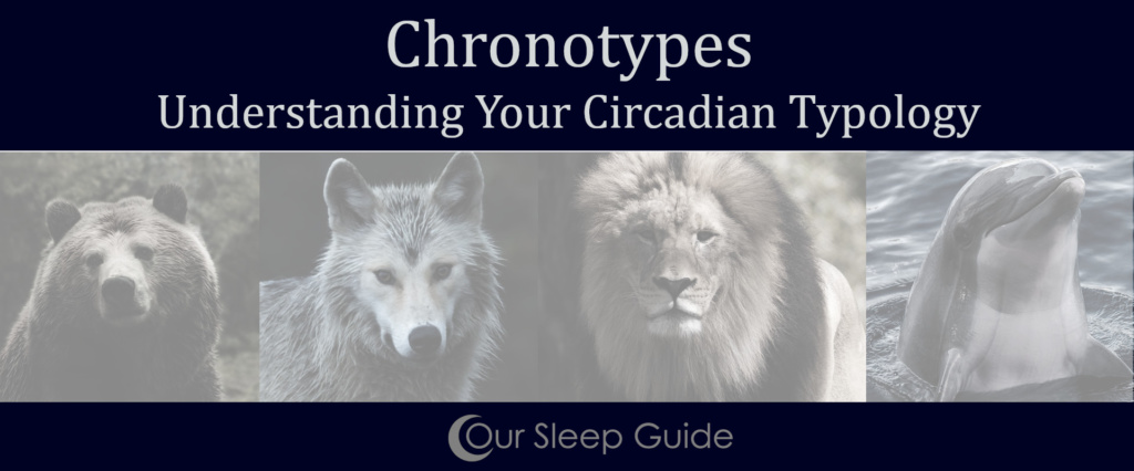 Chronotypes: Your Circadian Typology