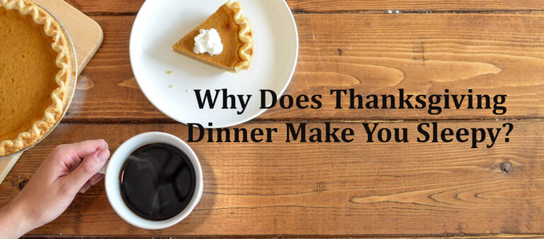 why-does-thanksgiving-dinner-make-you-sleepy-our-sleep-guide